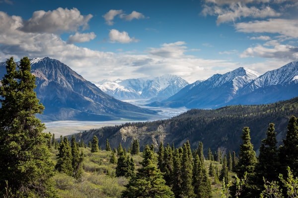 Mountain landscape on an example company website