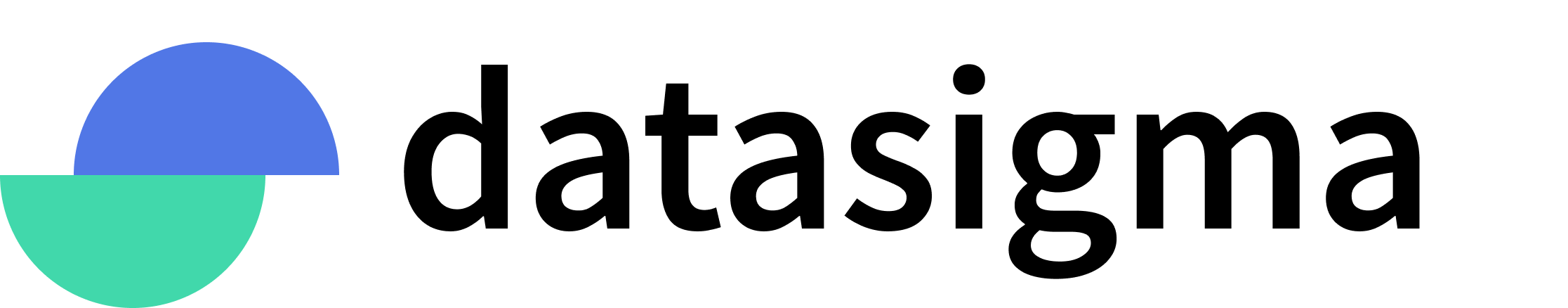 DataSigma Logo